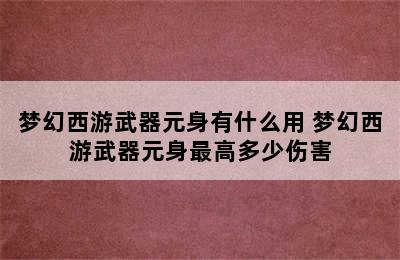 梦幻西游武器元身有什么用 梦幻西游武器元身最高多少伤害